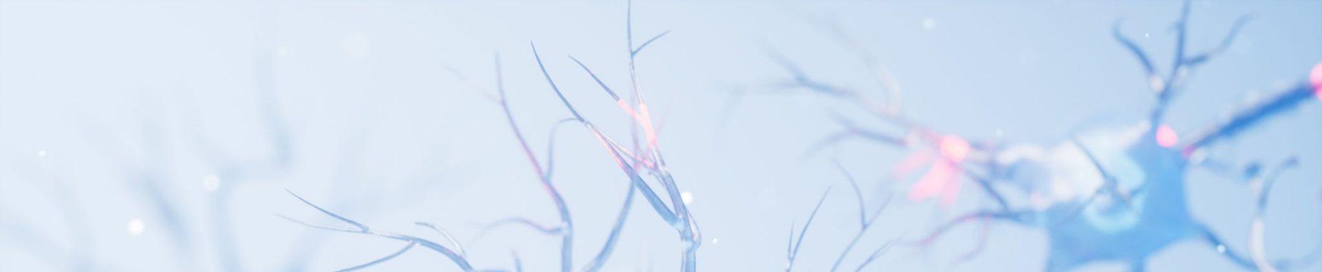 neurons
