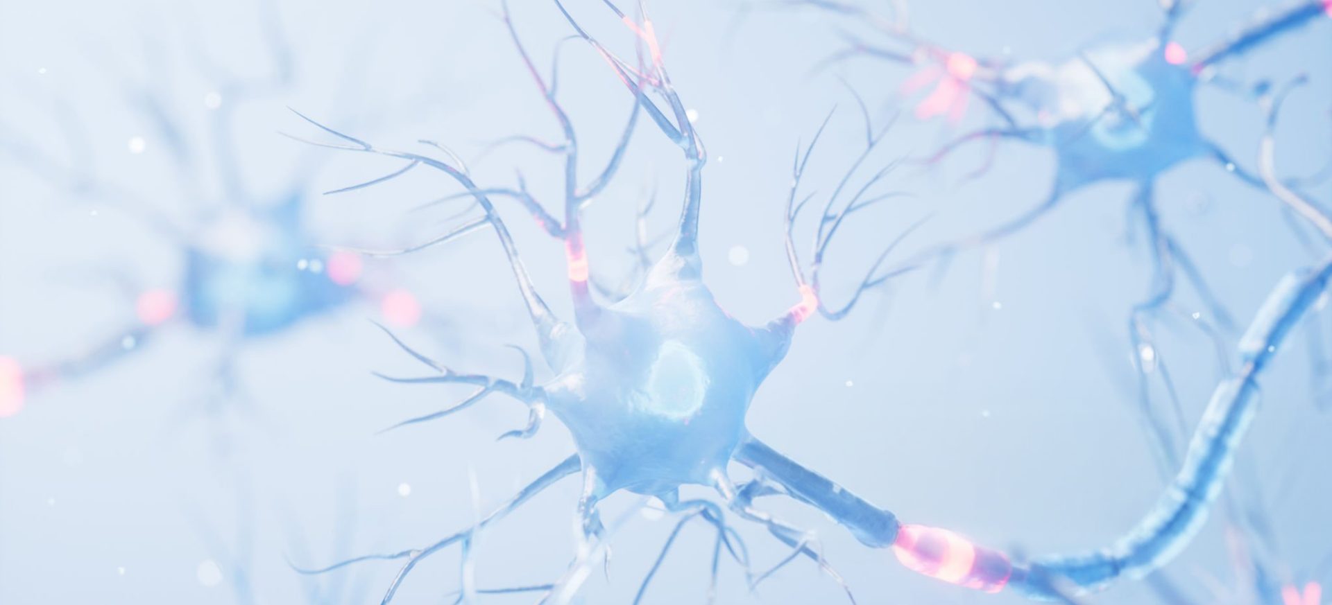 neuron-optimized