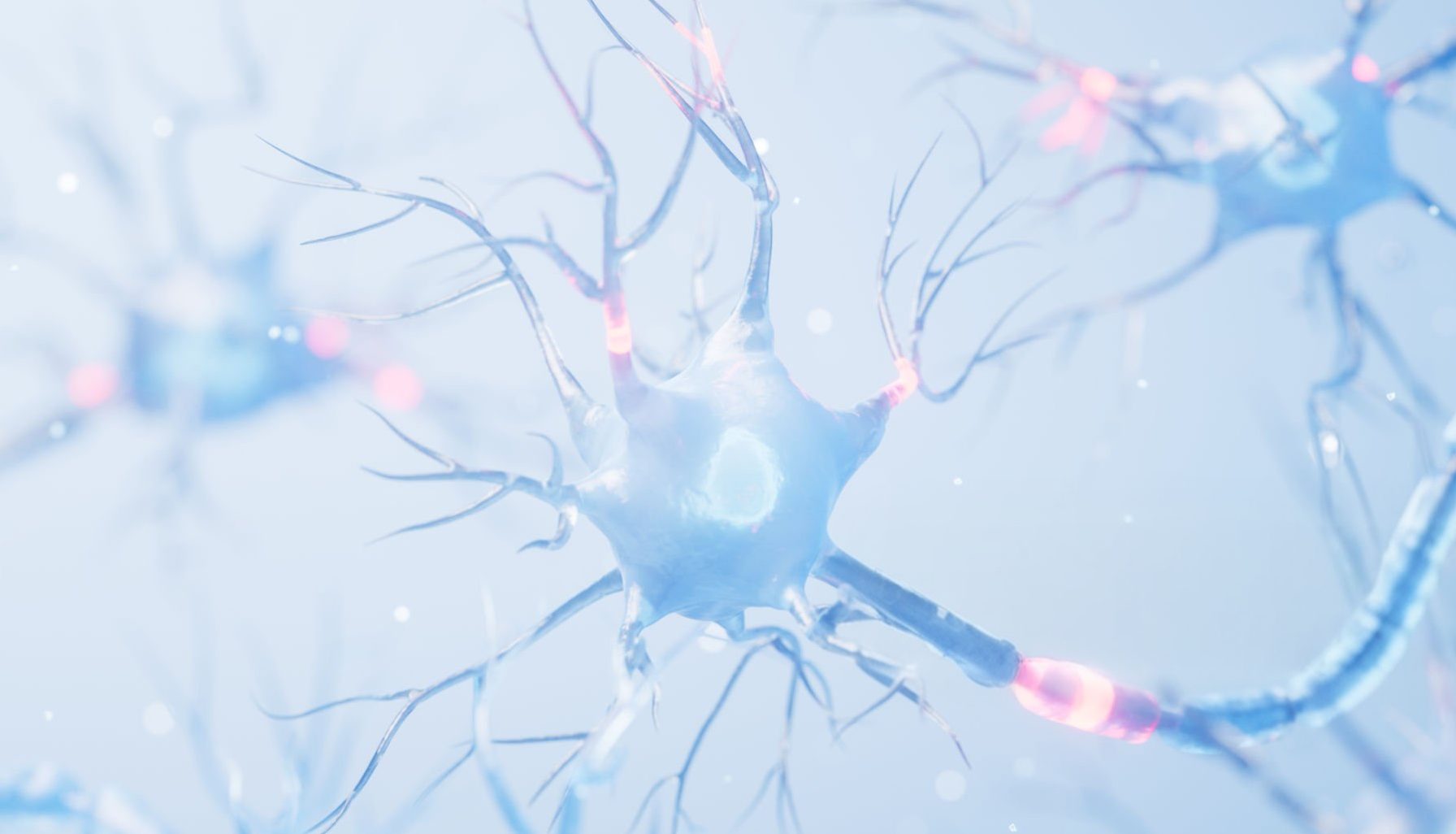neurons