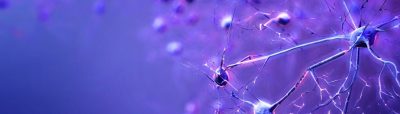 neurons 2