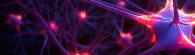 neurons 3