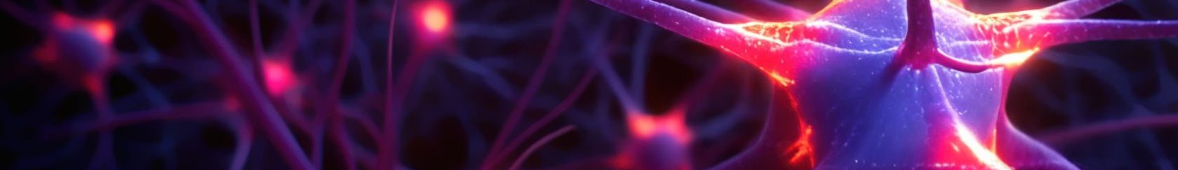 neurons