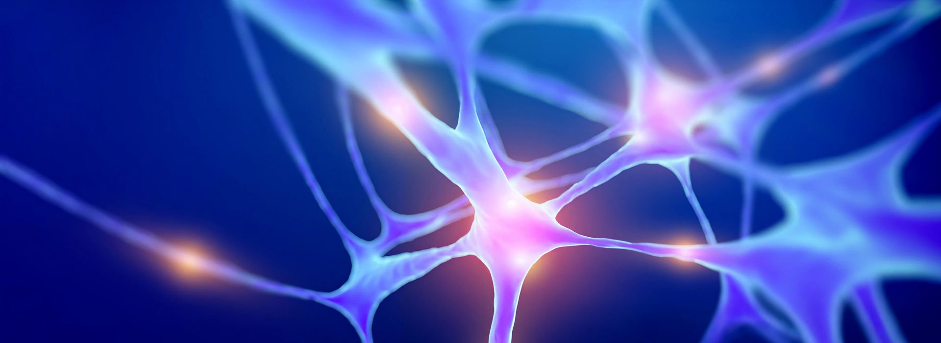 neurons