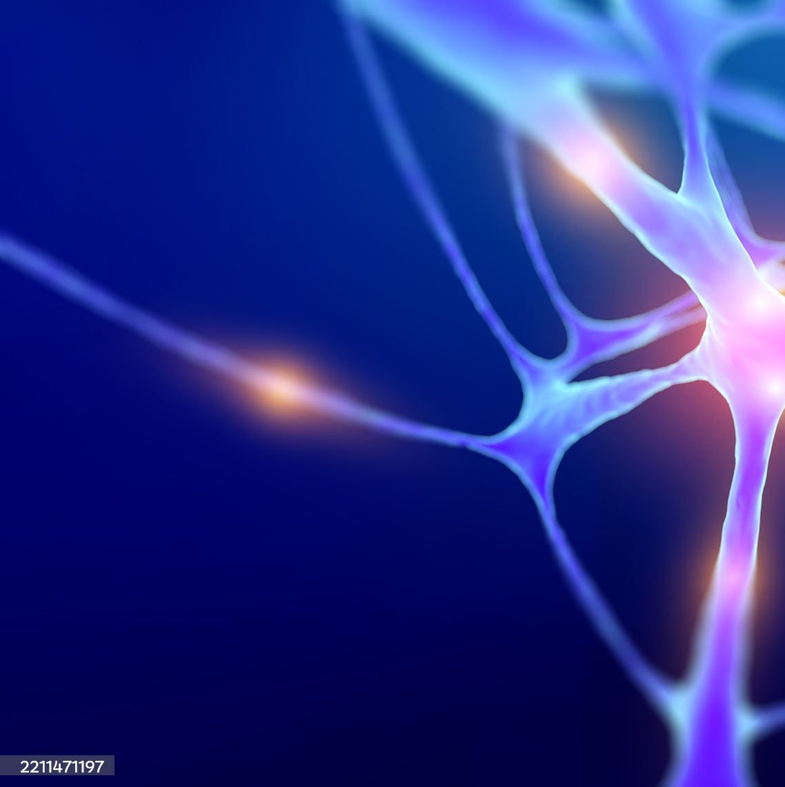 neuron bg